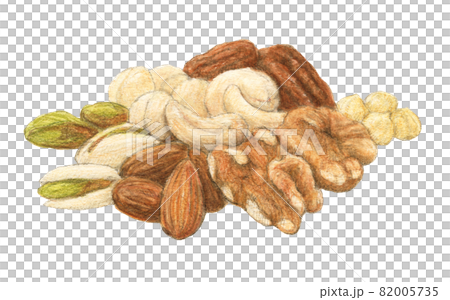 Various nuts hand-painted watercolor pencil illustrations Various nuts hand-painted watercolor pencil illustrations 82005735