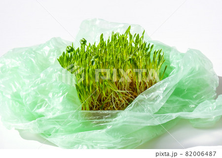Young green plants in plastic bag. Ecology and Environment concept. Earth day concept. Global pollution of the planet. Seedling Young green plants in plastic bag. Ecology and Environment concept. Earth day concept. Global pollution of the planet. Seedling 82006487