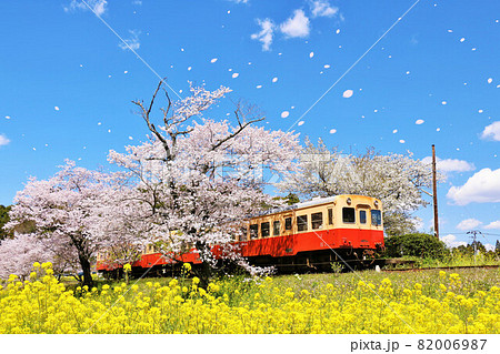 千葉県　桜吹雪と小湊鉄道 82006987