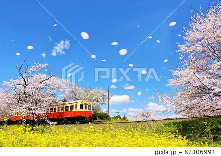千葉県　桜吹雪と小湊鉄道 82006991