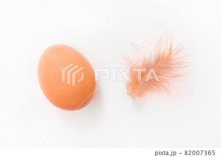 Brown chicken egg and small fluffy feather of chicken on white background, isolated 82007365