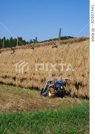 田園風景 稲架干し 田園風景 稲架干し 82007441