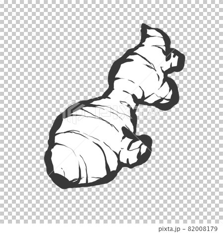 姜手繪毛筆繪畫風格插畫 82008179