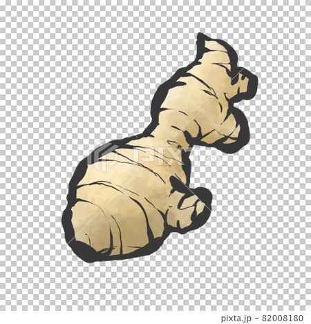 Ginger hand-painted brush painting style illustration 82008180