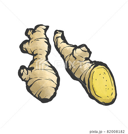 ショウガの手描き筆絵風イラストのイラスト素材 0081 ショウガの手描き筆絵風イラストのイラスト素材 0081