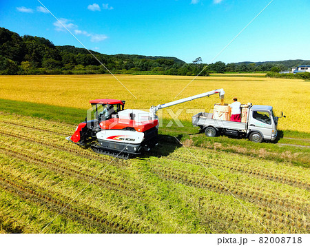 秋の北海道乙部町で刈り取った米をコンバインからトラックに積み込む風景を撮影 82008718