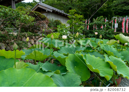 赤岩寺 赤岩寺 82008732