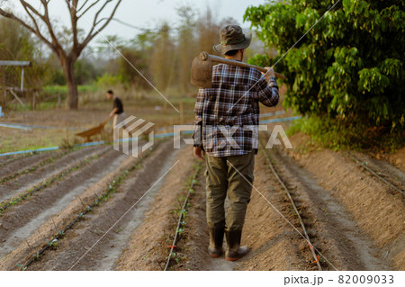 Gardening concept a male farmer carrying a hoe on his shoulder leaving a garden after finishing growing the crops 82009033