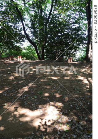 高幡城阯（高幡不動尊(金剛寺) 裏山／東京都日野市高幡町） 82009039