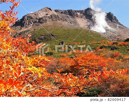 那須岳の紅葉（姥ヶ平） 82009417