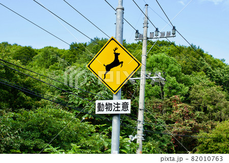 道路標識　 82010763