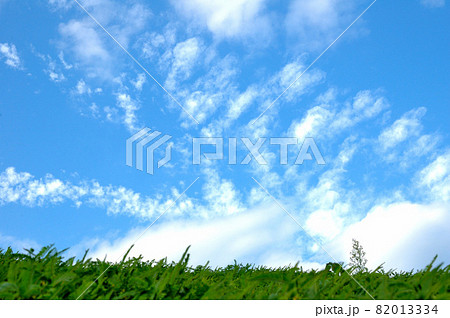 秋の草原と空 82013334