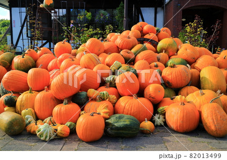 北海道 ニセコ町のハロウィーンのかぼちゃ 北海道 ニセコ町のハロウィーンのかぼちゃ 82013499