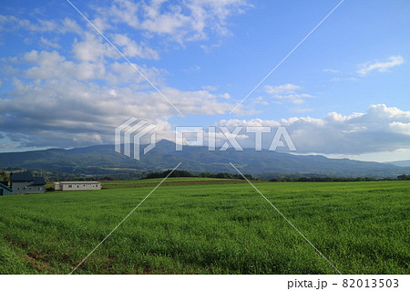 北海道　ニセコの草原と昆布岳	 82013503