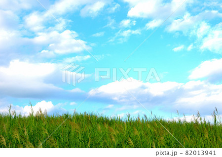 秋のすすきの草原と空 82013941