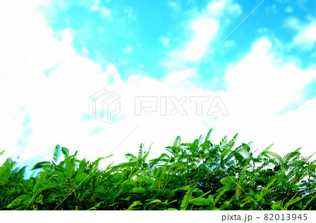 秋の草原と空 秋の草原と空 82013945