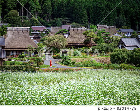 秋の美山かやぶきの里の風景 82014778