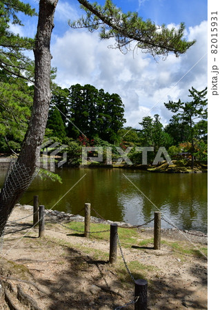 東大寺01 東大寺01 82015931