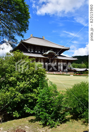 東大寺26 東大寺26 82015960