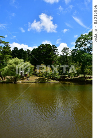東大寺32 東大寺32 82015966
