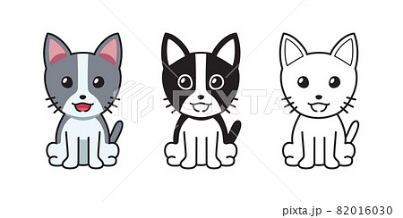 Set Of Vector Character Cartoon Catのイラスト素材