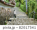 沖縄の石畳道 82017341