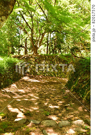 高取城008 82017570
