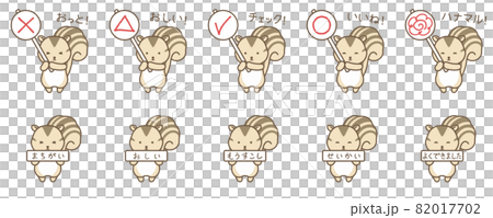 Squirrel correct answer tag 82017702