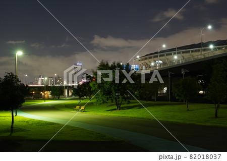 夜の新横浜公園 82018037