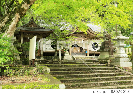 大津神社 10 大津神社 10 82020018