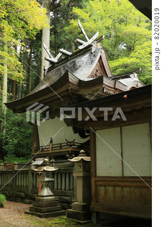 大津神社 11 大津神社 11 82020019