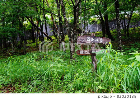 西沢渓谷 看板 82020138