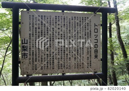 トロッコの由来 82020140