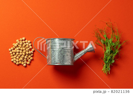 Small metal watering can with bunch of micro green on color background 82021136