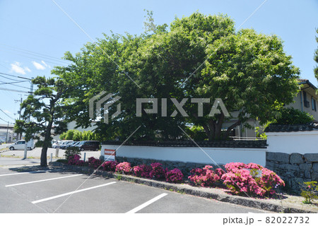 聖衆来迎寺　外壁　滋賀県大津市比叡辻 82022732