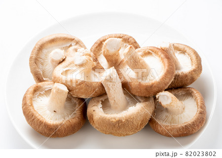 しいたけ 生しいたけ 白バック の写真素材