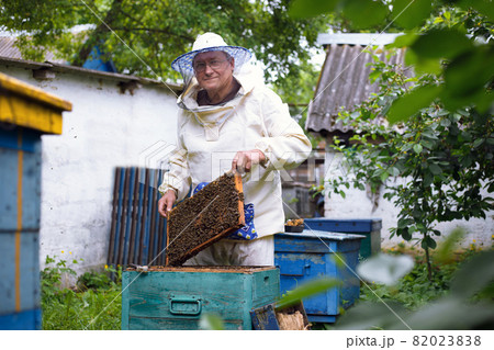 Beekeeper is working with bees and beehives Beekeeper is working with bees and beehives 82023838
