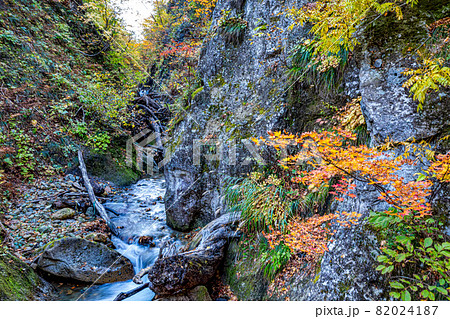 【宮城県 鳴子峡】見頃時期の紅葉 82024187