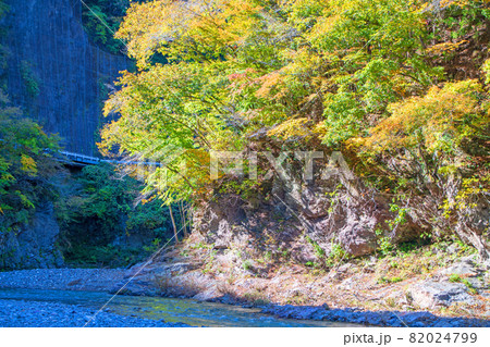 神流川 青梨 高八木トンネル付近 秋の風景 紅葉の季節 神流川 青梨 高八木トンネル付近 秋の風景 紅葉の季節 82024799