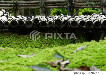 晩夏の陽射し 82025435