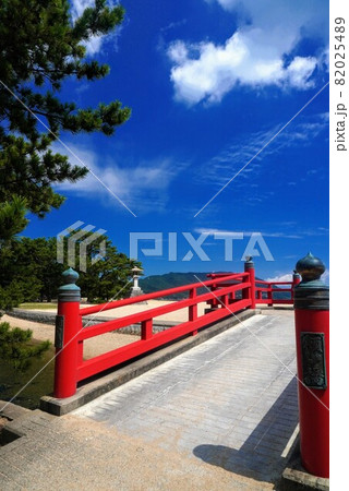 津田の松原【香川県さぬき市】 82025489