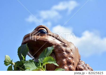 カエル。木のぬくもり。青空。光。縁起物。風水。 82025625