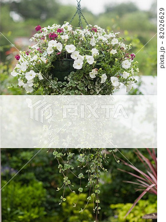White banner with copy space against flower pot hanging in the garden 82026629
