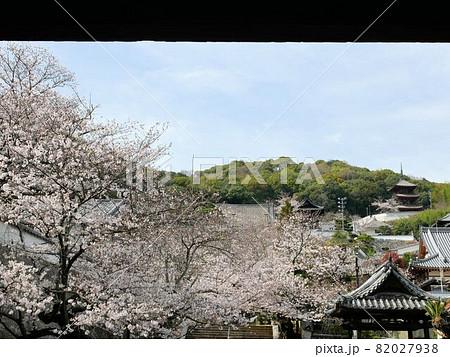 春の西國寺　（広島県尾道市） 82027938