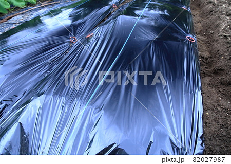 畑の黒いマルチシート 82027987