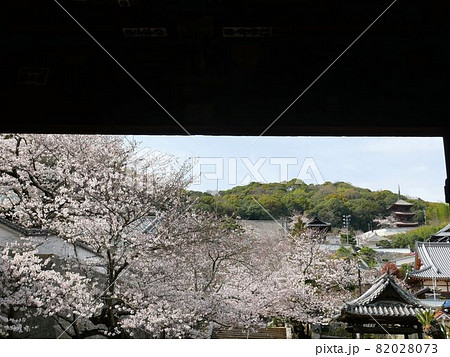 仁王門から見える西国寺の境内　（広島県尾道市） 82028073