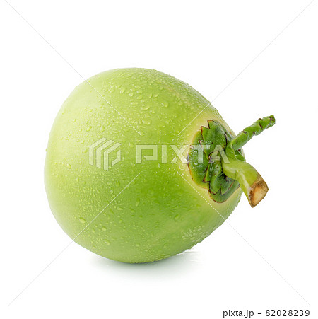 water drop green coconut isolated on white background 82028239