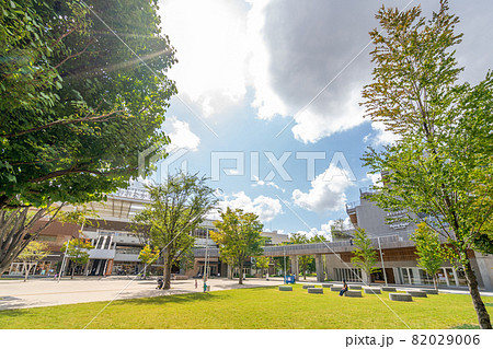 流山おおたかの森SC 森のまち 新緑 青空 流山おおたかの森SC 森のまち 新緑 青空 82029006