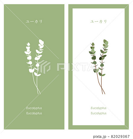 ユーカリのイラストとシルエット 82029367