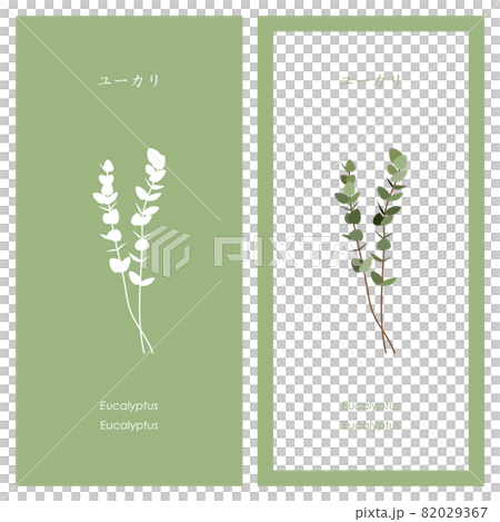 ユーカリのイラストとシルエット 82029367